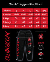 Load image into Gallery viewer, "Staple" Joggers